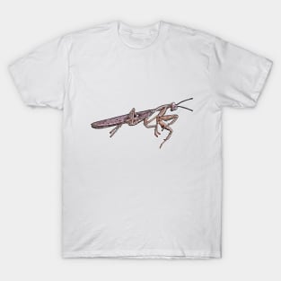 Rhombodera kirbyi male T-Shirt